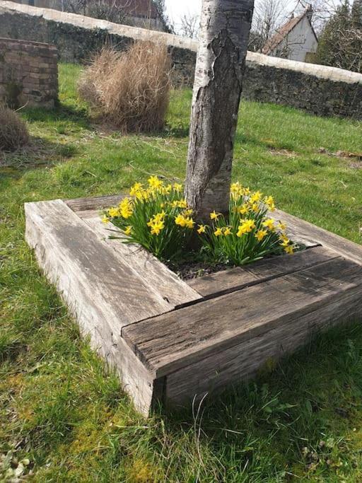 Holiday home La Dragonne, Petite Maison Au Centre De Belleme, Jardin, Cuisine Equipee, Vue Foret