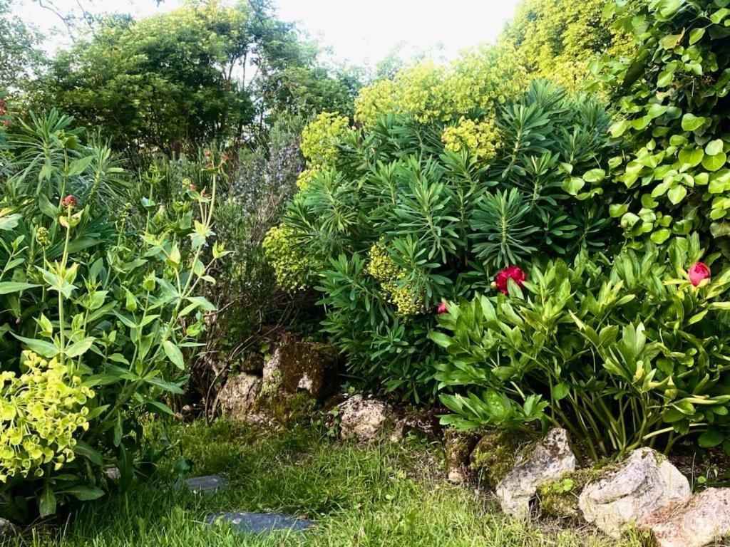 La Dragonne, Petite Maison Au Centre De Belleme, Jardin, Cuisine Equipee, Vue Foret